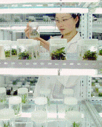 种子法点窜的几个问题